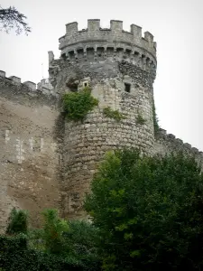 Veauce - Castello di Torre