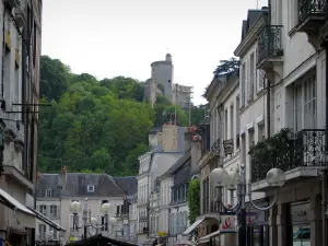 Vendôme - Ruins of the feudal castle dominating the houses of the old town