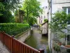 Vendôme - Passerelle enjambant la rivière (le Loir), lavoir ancien, arbres du parc Ronsard et bâtiment (ancien lycée Ronsard) abritant l'hôtel de ville (mairie) en arrière-plan