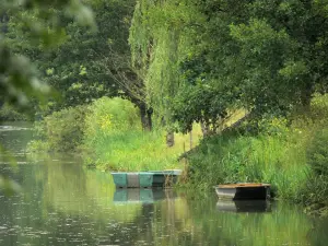 Venecia verde de la marisma poitevina - Húmedo pantano: Sèvre Niortaise, pequeños barcos amarrados, y los árboles a la orilla del agua