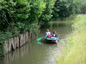 Venecia verde de la marisma poitevina - Despejando en una concha de Venise Verte (húmedo pantano)