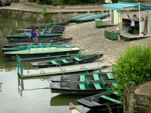 Venecia verde de la marisma poitevina - Muelle para un paseo en bote en la húmeda ciénaga; de Arçais