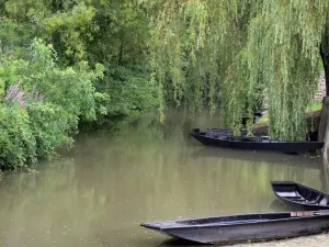 Venecia verde de la marisma poitevina - Húmedo pantano: los barcos, y los árboles a la orilla del agua