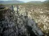 Verdon gorges - Calcareous cliff (rock faces), scrubland and trees (Verdon Regional Nature Park)