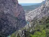 Verdon Regional Nature Park - Verdon gorges: Verdon river lined with rock faces