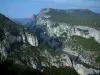 Verdon Regional Nature Park - Trees, scrublands and limestone cliffs (rock faces) of the Verdon gorges