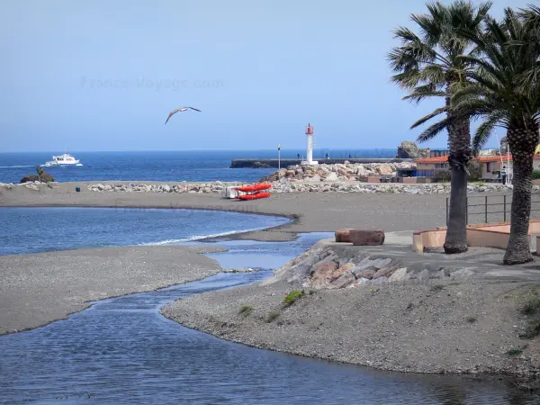 Vermilion coast - View of the lighthouse of Banyuls-sur-Mer and the Mediterranean sea, palm trees in the foreground