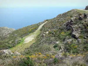 Vermilion coast - Path overlooking the Mediterranean sea