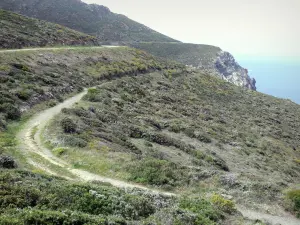 Vermilion coast - Path overlooking the Mediterranean sea