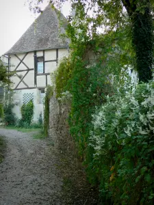 Verneuil-en-Bourbonnais - Maison à pans de bois et végétaux en fleurs