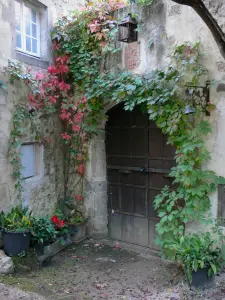 Verneuil-en-Bourbonnais - Porte (entrée) d'une maison ornée de végétaux