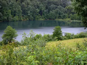 Vernois lake - Lake, trees and shrubs