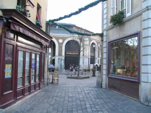 Versailles - Huizen en zalen van de koninklijke stad