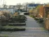 Versailles - King's vegetable garden