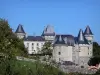 Verteuil-сюр-Шаранта - Замок в окружении башен, кустов роз (роз); в долине Шаранта