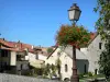 Verteuil-сюр-Шаранта - Фонарный столб украшен цветами, водяной мельницей и домами поселка; в долине Шаранта