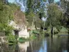 Verteuil-сюр-Шаранта - Река Шаранта (долина Шаранта) и деревья у кромки воды
