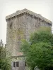 Viala-du-Pas-de-Jaux - Hospitallers tower