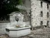 Vic-sur-Cère - Fuente y fachada de una casa de piedra del casco antiguo