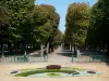 Vichy - Spa (ciudad balneario): Fuentes del parque y sus avenidas de árboles, hay flores en primer plano