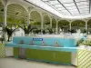 Vichy - Spa (ciudad balneario): Salón de las fuentes: la fuente de refrescos Célestins