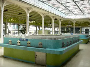 Vichy - Spa (città termale): Sala delle fonti: la fonte di ristoro Chomel