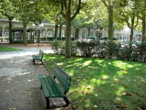 Vichy - Station thermale (ville thermale) : parc des Sources avec ses arbres, ses bancs et sa galerie couverte