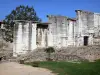 Vienne - Cybèle garden (archaeological garden) and its Gallo-Roman remains