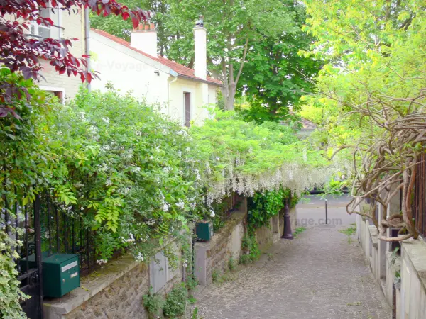 Viertel Mouzaïa - Gepflasterte Gasse gesäumt von kleinen Häusern und von blühendem Pflanzenwuchs