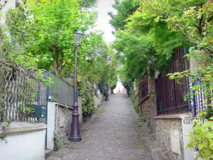 Viertel Mouzaïa - Allee mit Kopfsteinpflaster, geschmückt mit Strassenlaternen und gesäumt von Grün