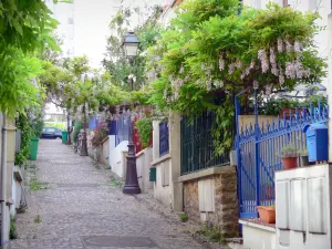 Viertel Mouzaïa - Kleine Gärten aufgeputzt mit in Blüte stehenden Glyzinien