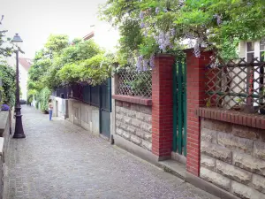 Viertel Mouzaïa - Kleine Gärten geschmückt mit blühenden Glyzinien