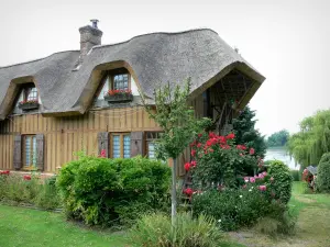 Vieux-Port - La mitad de madera casa (casa de techo de paja) y su jardín de flores, el río Sena en el fondo, en los bucles de Parque Natural Regional del Sena-Normandía, en la ruta Chaumières