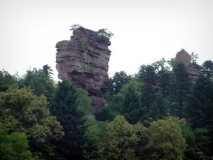 Vieux Windstein castle - Sandstone rocks ruins surrounded by trees (climbing site)