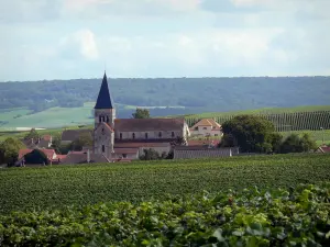 Vigneti della Champagne - Sacy villaggio con la sua chiesa e le case, vigneti della Montagne de Reims (Champagne vigneto, nel Parco Regionale Naturale della Montagne de Reims), e alberi ad alto fusto