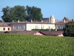 Vignoble de Bordeaux - Château Lafite Rothschild bodega en Pauillac, en el Médoc