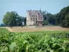 Vignoble de Bordeaux - Vignes en premier plan avec vue sur le château Lachesnaye, domaine viticole à Cussac-Fort-Médoc