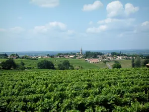 Vignoble de Bordeaux - Viñedos de Burdeos y el pueblo