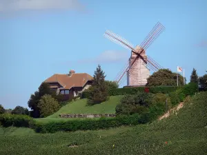 Vignoble champenois - Moulin de Verzenay (moulin à vent), vignes (vignoble de Champagne) ; dans le Parc Naturel Régional de la Montagne de Reims