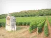 Vignoble de la Côte de Beaune - Oratoire entouré de vignes