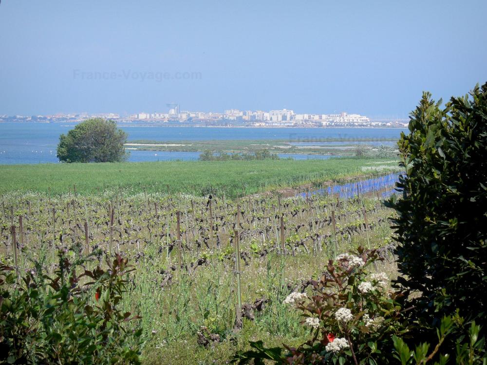 Hotel Restaurant Palavas Les Flots Pas Cher Hotel Restaurant Palavas Les Flots Pas Cher