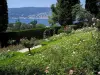 Villa Ephrussi de Rothschild - Rose garden (rosebushes) with view of the natural harbour of Villefranche-sur-Mer