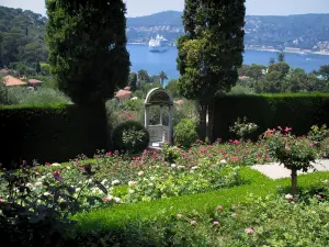 Villa Ephrussi de Rothschild - Rose garden (rosebushes) with view of the natural harbour of Villefranche-sur-Mer