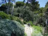 Villa Ephrussi de Rothschild - Provençaalse tuin