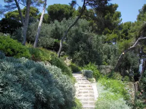 Villa Ephrussi de Rothschild - Jardín provenzal
