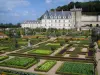 Villandry城堡和花园 - 城堡，并俯瞰菜园（蔬菜和花卉）