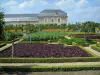 Villandry城堡和花园 - 菜园（蔬菜）