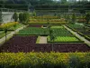 Villandry城堡和花园 - 花和蔬菜从菜园