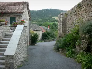 Le Villard - Maisons et remparts du village