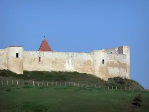 Villebois-Lavalette - Enceinte du château flanquée de tours et pâturage